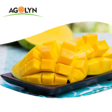 AGOLYN wholesale organic sugar soft dried mango